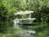 Picture of Boat trip to Radman's Mills (older than 12)