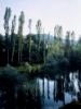 Picture of Boat trip to Radman's Mills (older than 12)