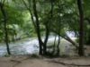 Picture of Boat trip to Radman's Mills (older than 12)