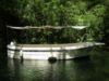 Picture of Boat trip to Radman's Mills (aged 5 to 12)